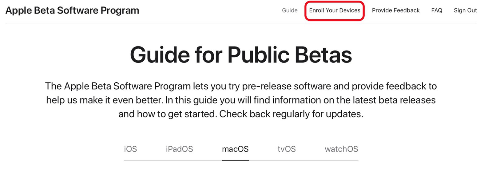 MacOS Big Sur Public Beta Nasıl İndirilir ve Yüklenir
